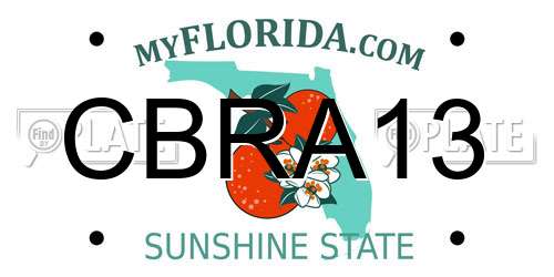 CBRA13 Florida License Plate