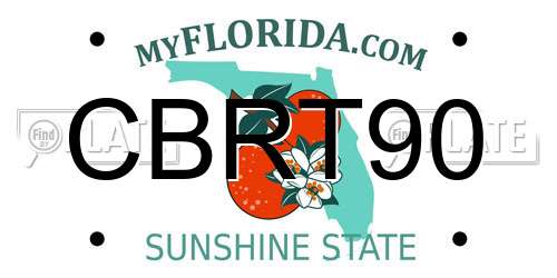 CBRT90 Florida License Plate