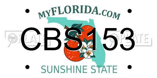 CBS153 Florida License Plate