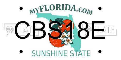 CBS18E Florida License Plate