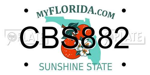 CBS882 Florida License Plate