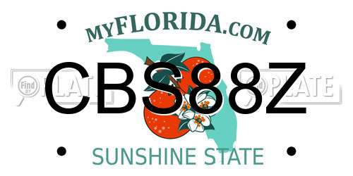 CBS88Z Florida License Plate