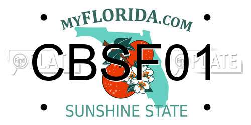 CBSF01 Florida License Plate