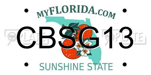 CBSG13 Florida License Plate