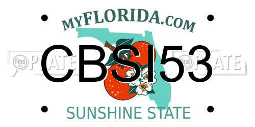 CBSI53 Florida License Plate