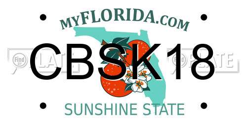 CBSK18 Florida License Plate
