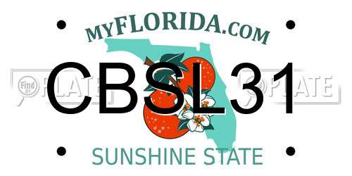 CBSL31 Florida License Plate
