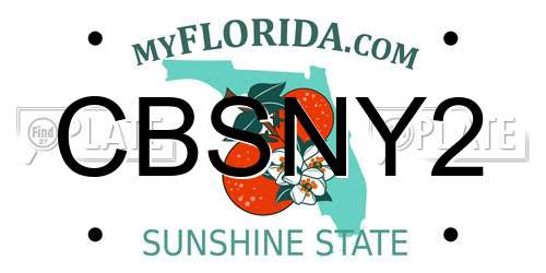CBSNY2 Florida License Plate