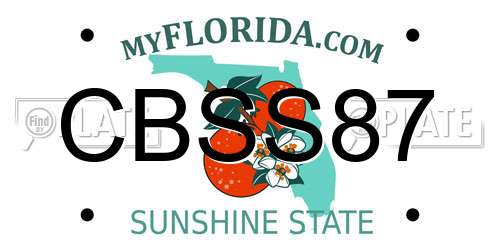 CBSS87 Florida License Plate