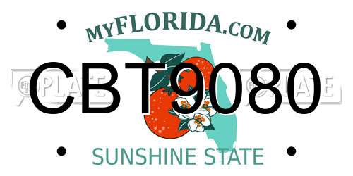CBT9080 Florida License Plate