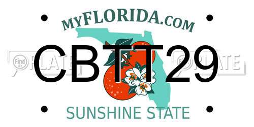 CBTT29 Florida License Plate