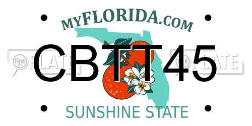 CBTT45 Florida License Plate