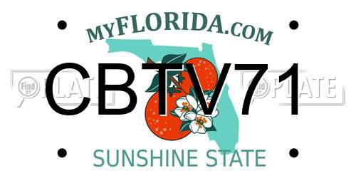 CBTV71 Florida License Plate