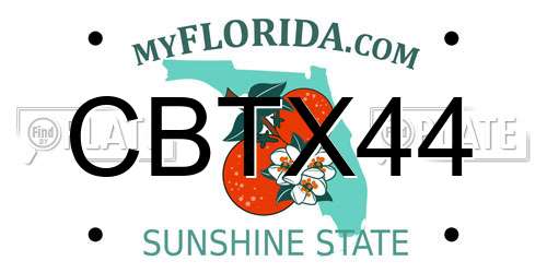 CBTX44 Florida License Plate