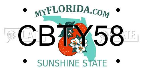 CBTY58 Florida License Plate