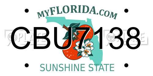 CBU7138 Florida License Plate