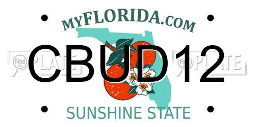 CBUD12 Florida License Plate