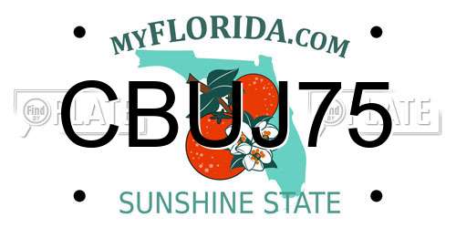 CBUJ75 Florida License Plate