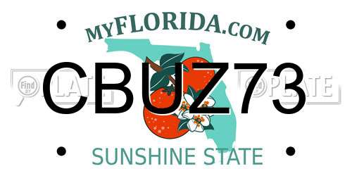 CBUZ73 Florida License Plate