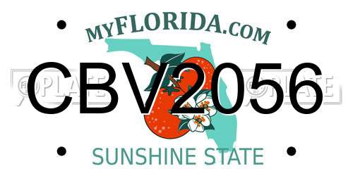 CBV2056 Florida License Plate