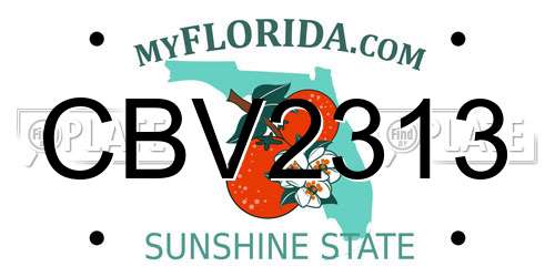 CBV2313 Florida License Plate