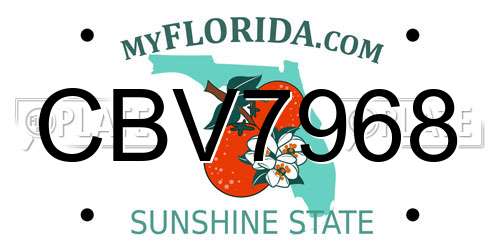 CBV7968 Florida License Plate