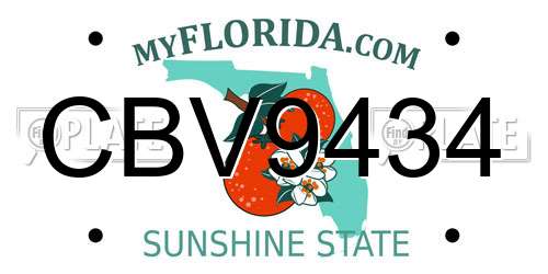 CBV9434 Florida License Plate