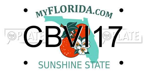 CBVI17 Florida License Plate