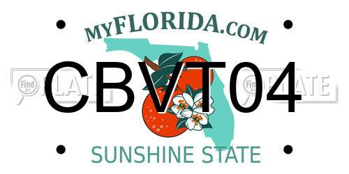 CBVT04 Florida License Plate
