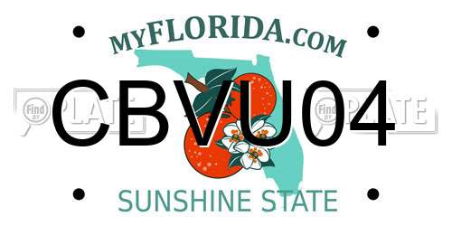 CBVU04 Florida License Plate