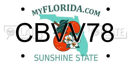 CBVV78 Florida License Plate