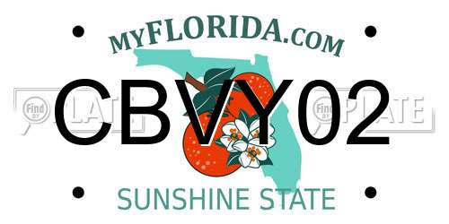 CBVY02 Florida License Plate