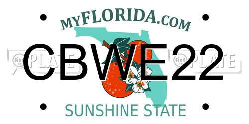 CBWE22 Florida License Plate