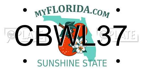 CBWL37 Florida License Plate