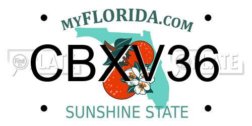CBXV36 Florida License Plate