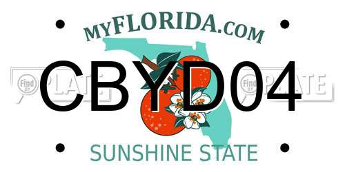 CBYD04 Florida License Plate