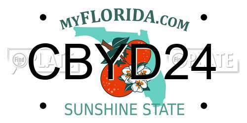 CBYD24 Florida License Plate