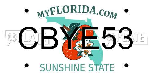 CBYE53 Florida License Plate