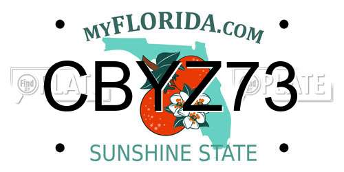 CBYZ73 Florida License Plate