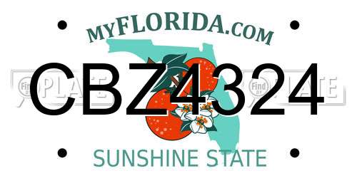 CBZ4324 Florida License Plate
