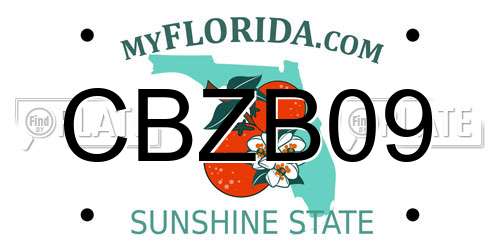 CBZB09 Florida License Plate