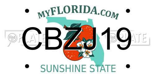 CBZJ19 Florida License Plate