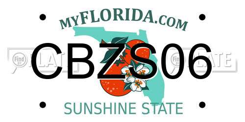 CBZS06 Florida License Plate