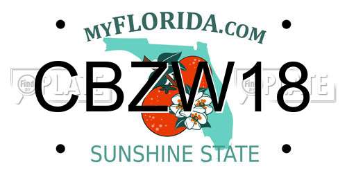 CBZW18 Florida License Plate