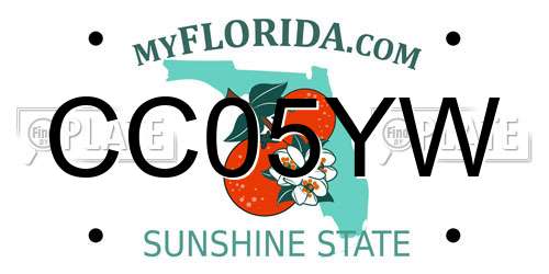 CC05YW Florida License Plate