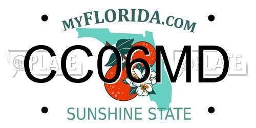 CC06MD Florida License Plate