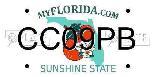 CC09PB Florida License Plate
