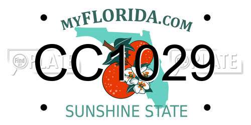 CC1029 Florida License Plate