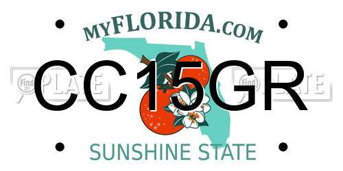 CC15GR Florida License Plate