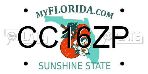 CC16ZP Florida License Plate
